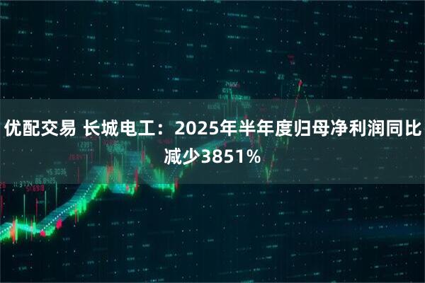 优配交易 长城电工:2025年半年度归母净利润同比减少3851%