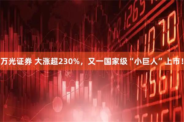 万光证券 大涨超230%，又一国家级“小巨人”上市！