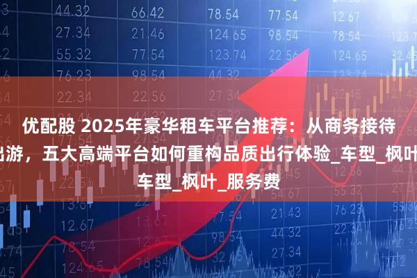 优配股 2025年豪华租车平台推荐：从商务接待到自驾出游，五大高端平台如何重构品质出行体验_车型_枫叶_服务费