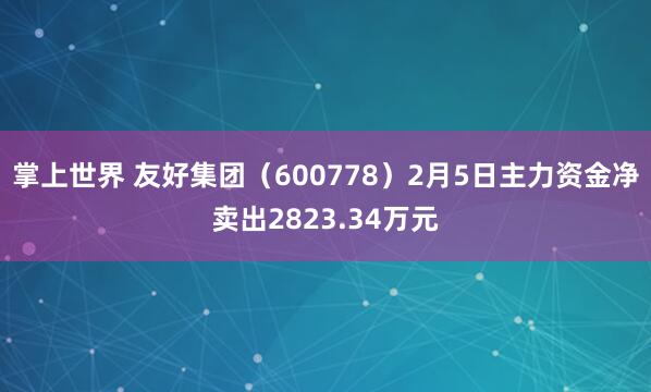 掌上世界 友好集团(600778)2月5日主力资金净卖出2823.34万元