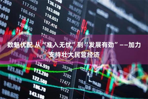数魅优配 从“准入无忧”到“发展有劲”——加力支持壮大民营经济