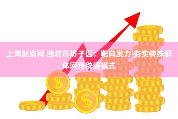 上海配资网 潍坊市坊子区：靶向发力 夯实特殊群体网络辟谣模式